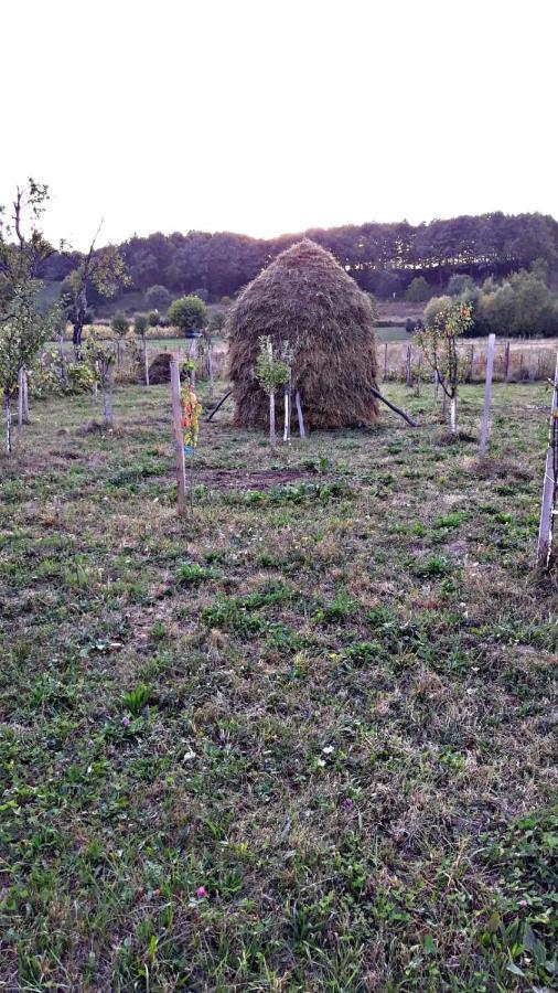 Ferienwohnung La Curtea Veche Lapus Exterior foto