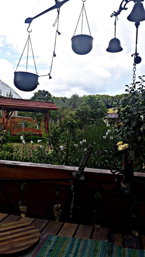 Ferienwohnung La Curtea Veche Lapus Exterior foto