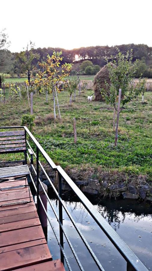 Ferienwohnung La Curtea Veche Lapus Exterior foto