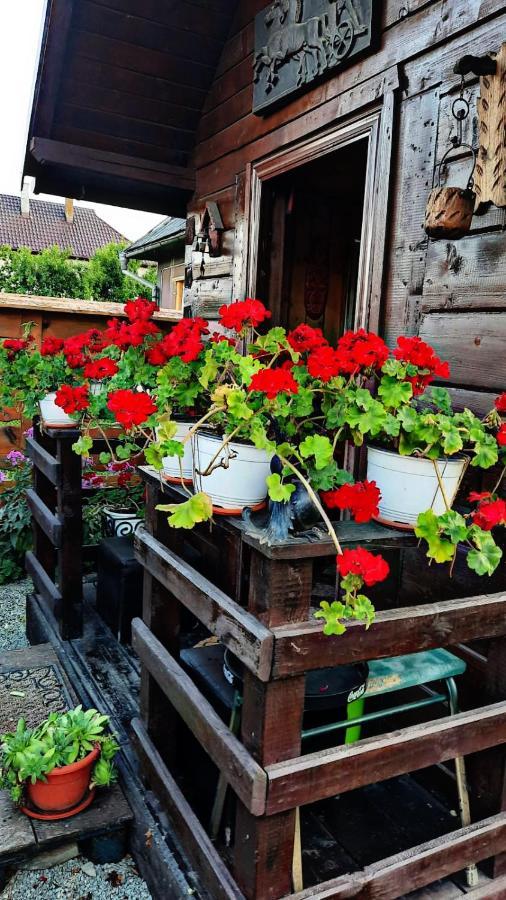 Ferienwohnung La Curtea Veche Lapus Exterior foto