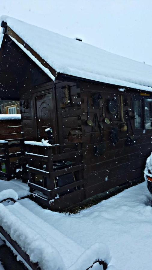 Ferienwohnung La Curtea Veche Lapus Exterior foto