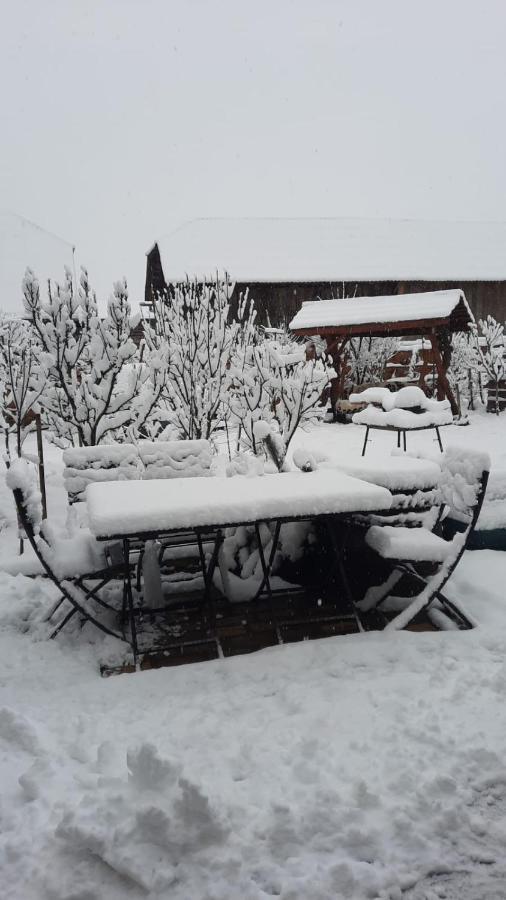 Ferienwohnung La Curtea Veche Lapus Exterior foto