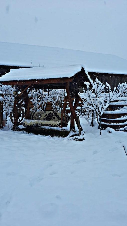 Ferienwohnung La Curtea Veche Lapus Exterior foto